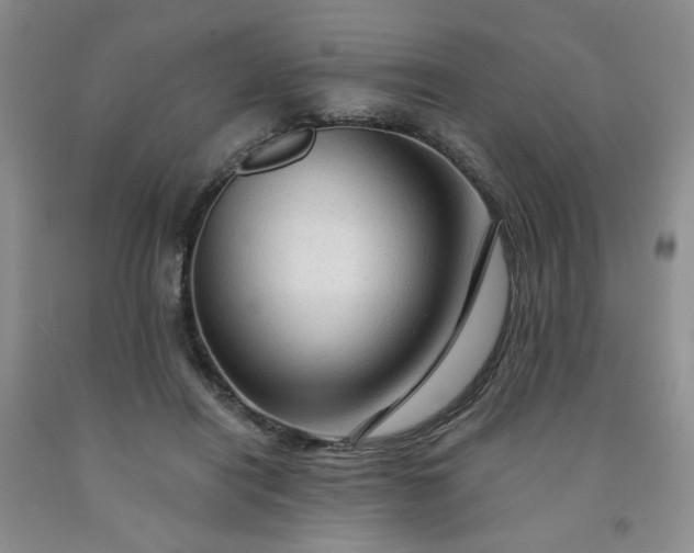 X0000091950454200709201326