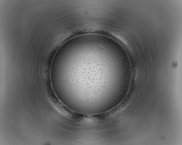 X0000091950455200709201326