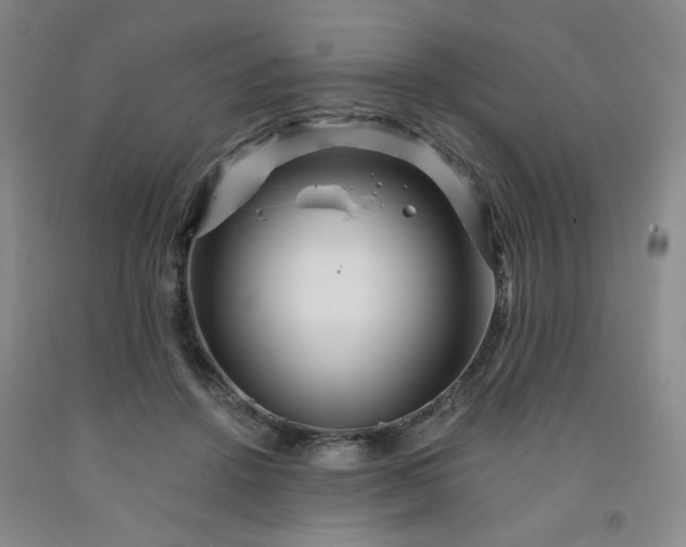 X0000091950456200709201326