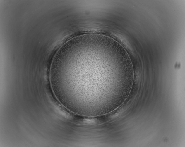 X0000091950457200709201326