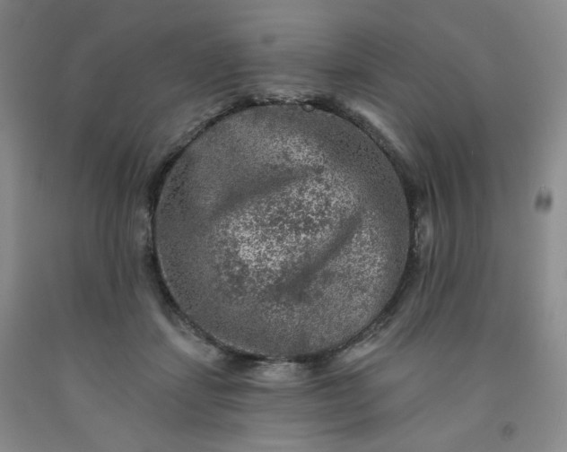 X0000091950459200709201326