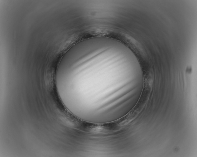 X0000091950460200709201326