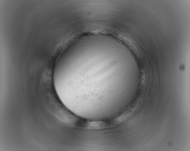 X0000091950461200709201326