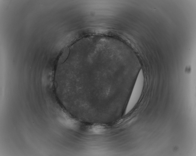 X0000091950462200709201326