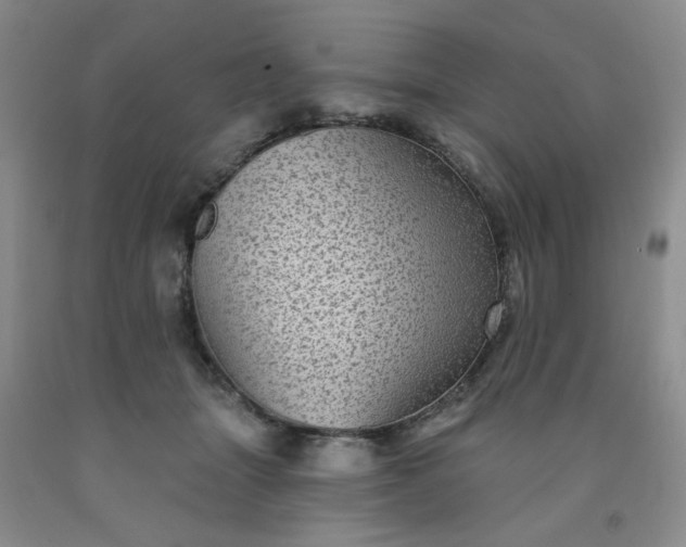 X0000091950463200709201326