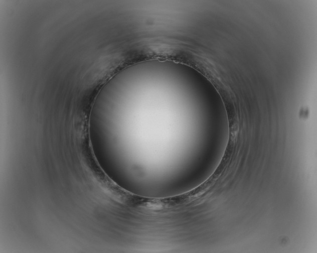 X0000091950464200709201326