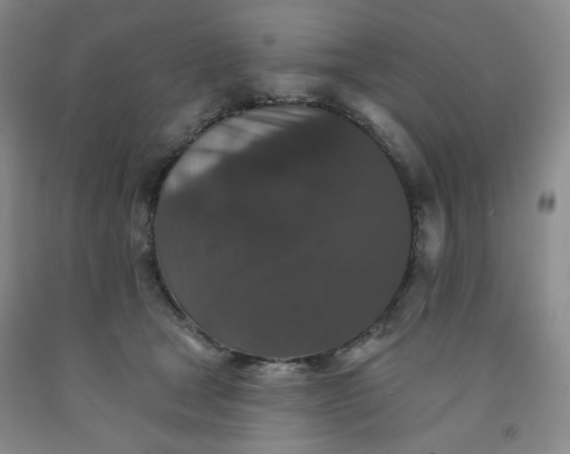 X0000091950465200709201326