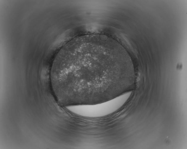 X0000091950466200709201326