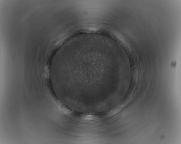 X0000091950467200709201326