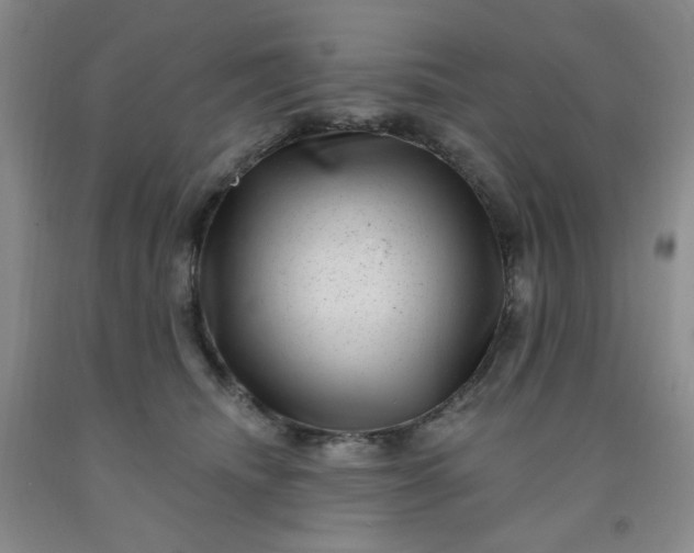 X0000091950468200709201326