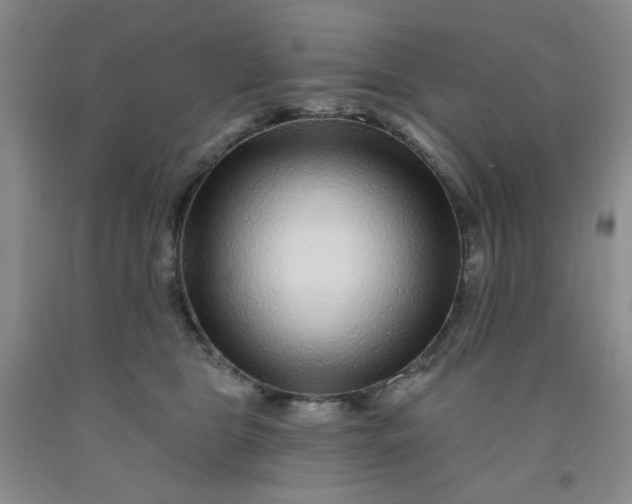 X0000091950469200709201326