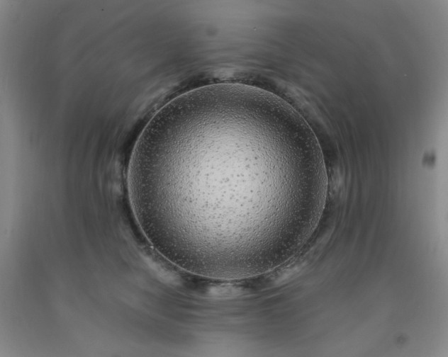 X0000091950470200709201326