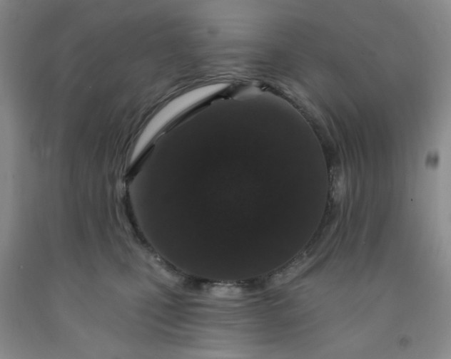 X0000091950471200709201326