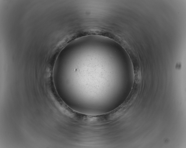 X0000091950472200709201326