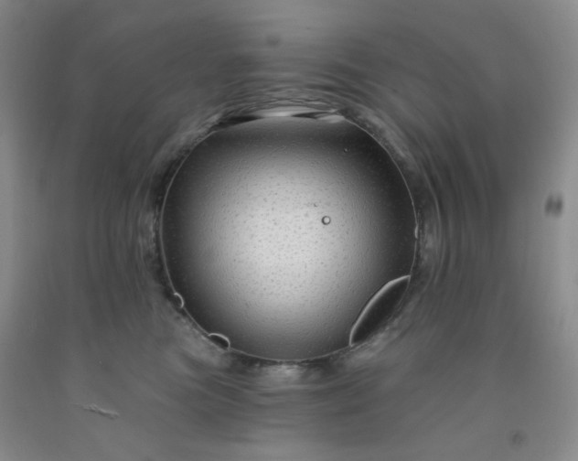 X0000091950473200709201326