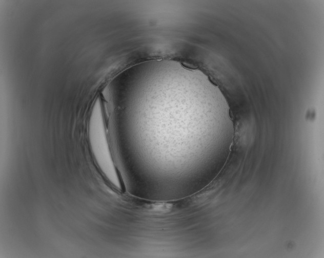 X0000091950474200709201326