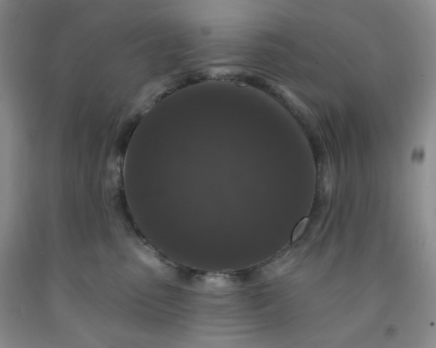 X0000091950475200709201326