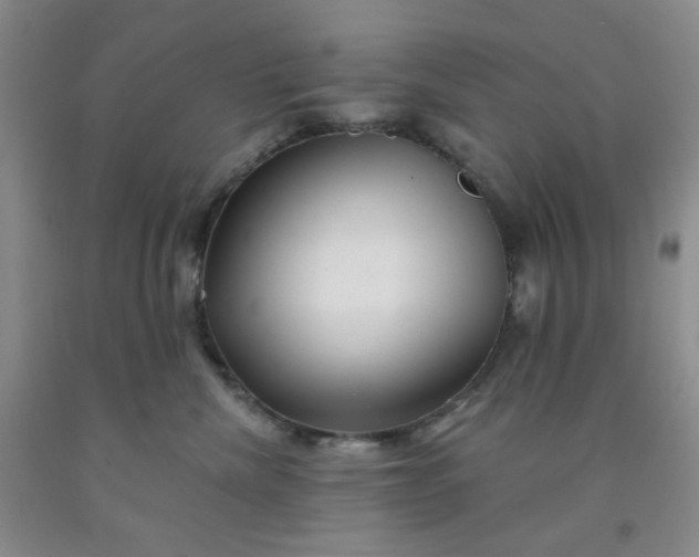 X0000091950476200709201326