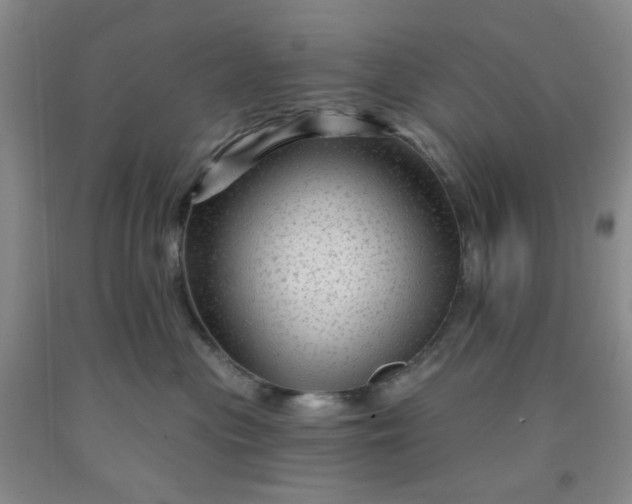 X0000091950477200709201326