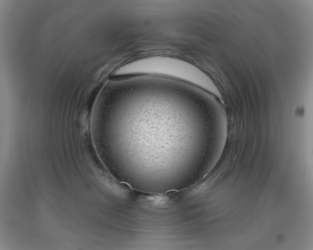 X0000091950478200709201326