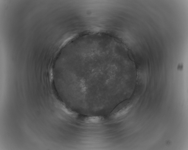 X0000091950479200709201326