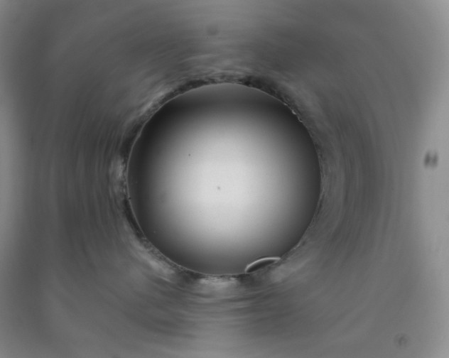 X0000091950480200709201326