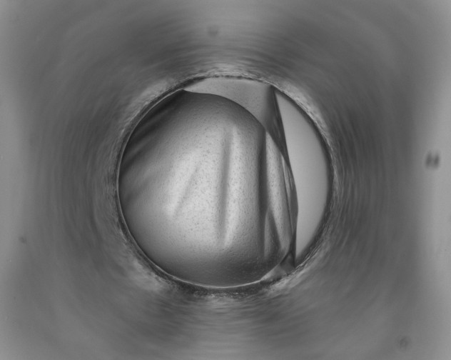 X0000091950481200709201326