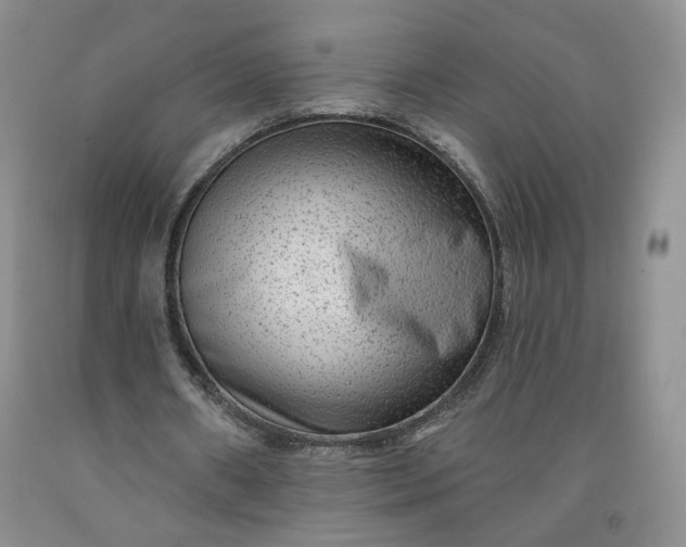 X0000091950482200709201326