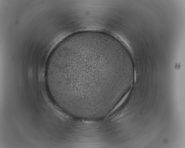 X0000091950483200709201326