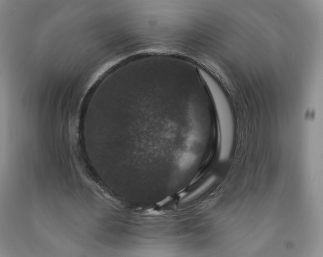 X0000091950484200709201326