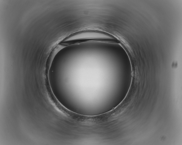 X0000091950485200709201326