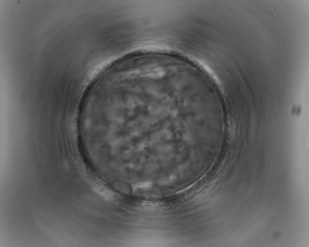 X0000091950487200709201326