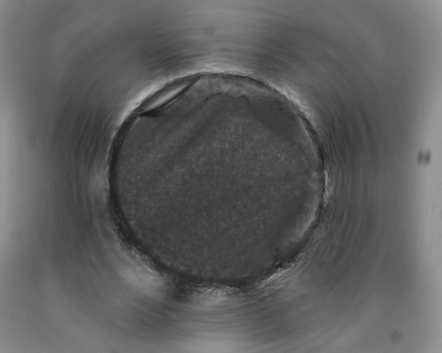 X0000091950488200709201326