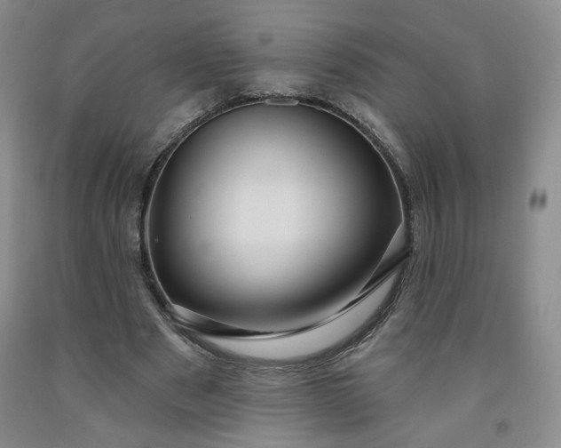 X0000091950489200709201326