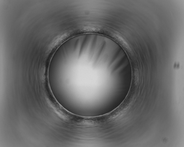 X0000091950490200709201326