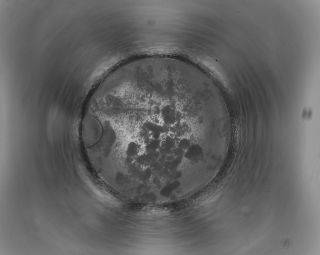 X0000091950491200709201326