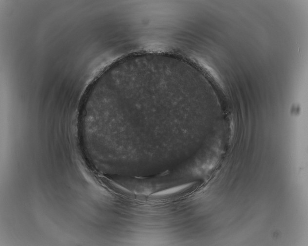 X0000091950492200709201326