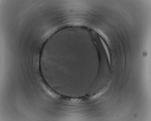 X0000091950493200709201326