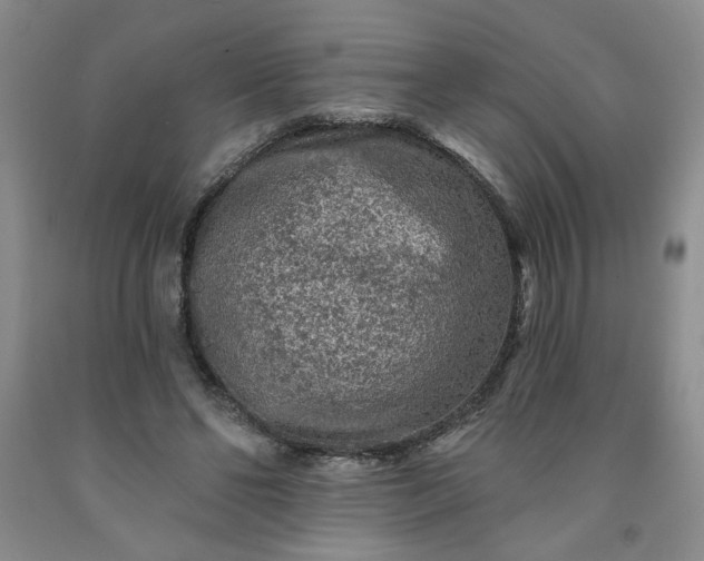 X0000091950494200709201326