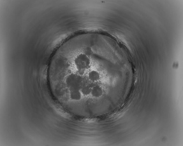 X0000091950495200709201325