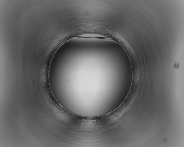 X0000091950497200709201325