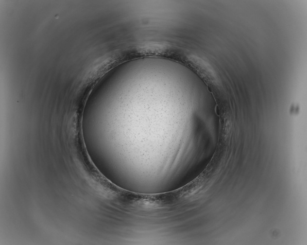 X0000091950498200709201325