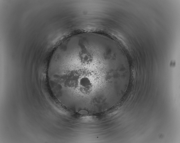 X0000091950499200709201325