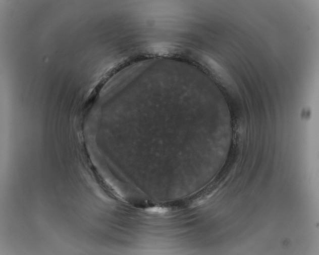 X0000091950500200709201325