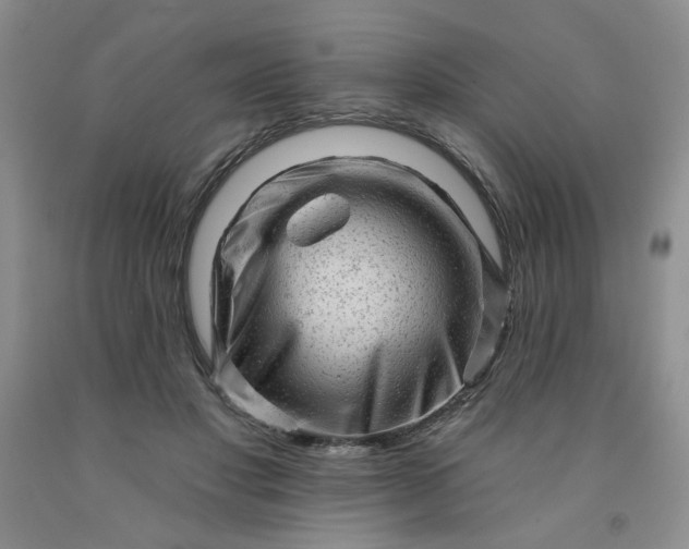 X0000091950501200709201325