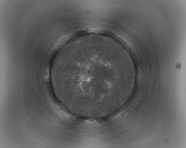 X0000091950502200709201325