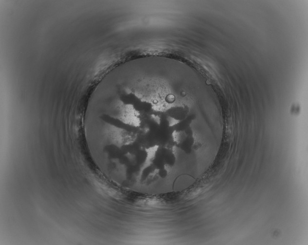 X0000091950503200709201325