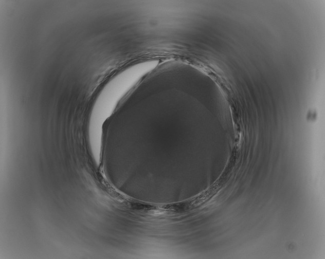 X0000091950504200709201325