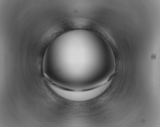 X0000091950505200709201325