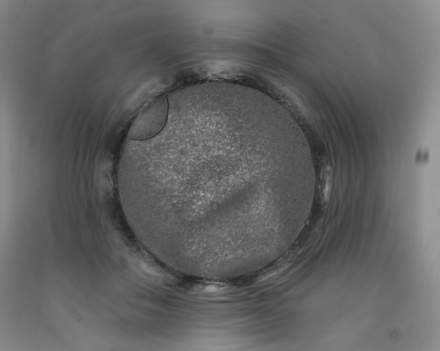 X0000091950506200709201325